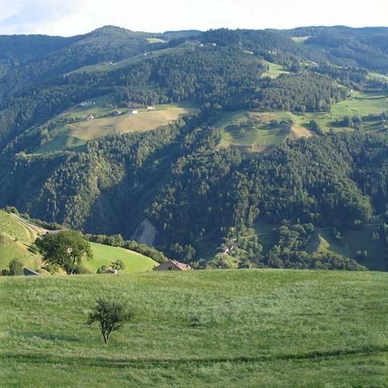 Impressionen vom Wieserhof in Südtirol