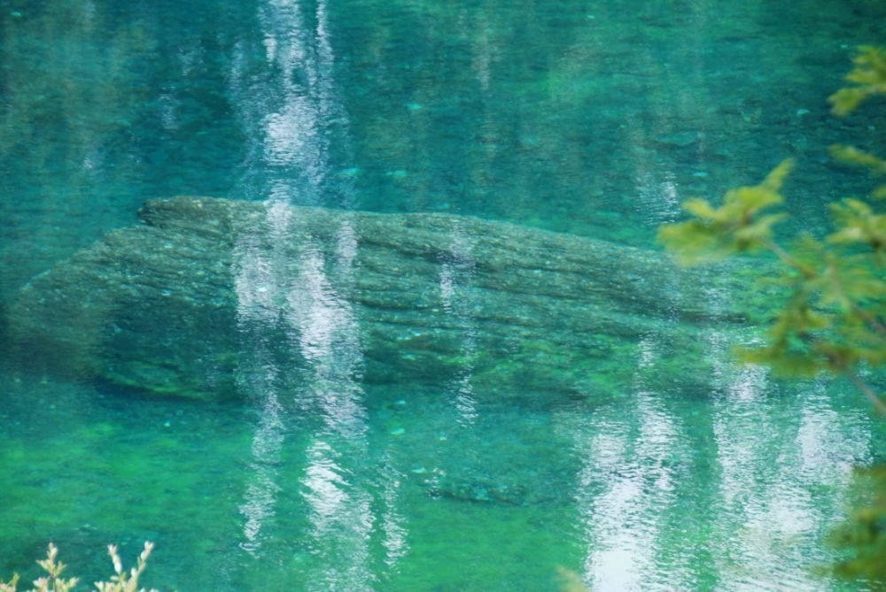 Impressionen vom Wieserhof in Südtirol