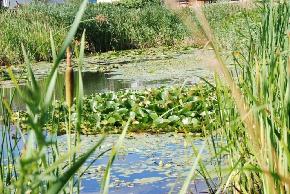 Impressionen vom Wieserhof in Südtirol