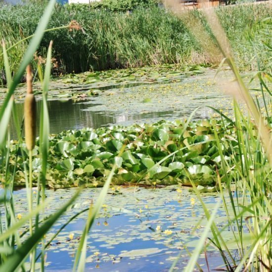 Impressioni di Wieserhof a Fiè allo Sciliar