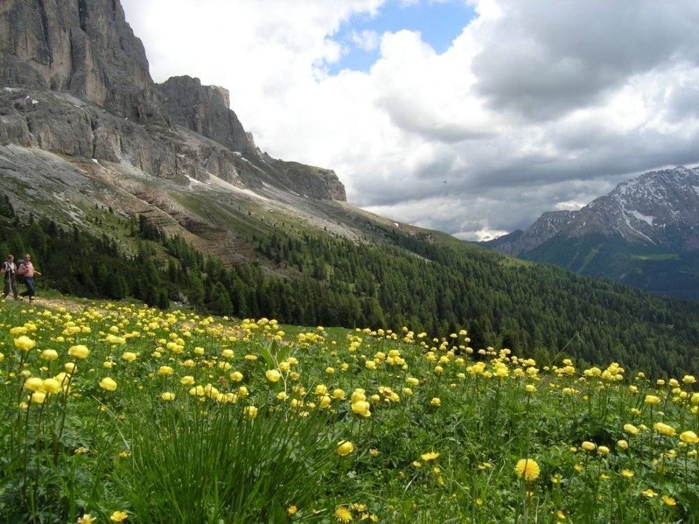 Impressionen vom Wieserhof in Südtirol