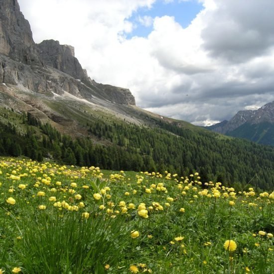 Impressionen vom Wieserhof in Südtirol