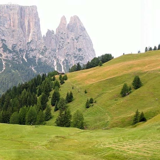 Impressionen vom Wieserhof in Südtirol