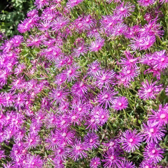 Impressioni di Wieserhof a Fiè allo Sciliar