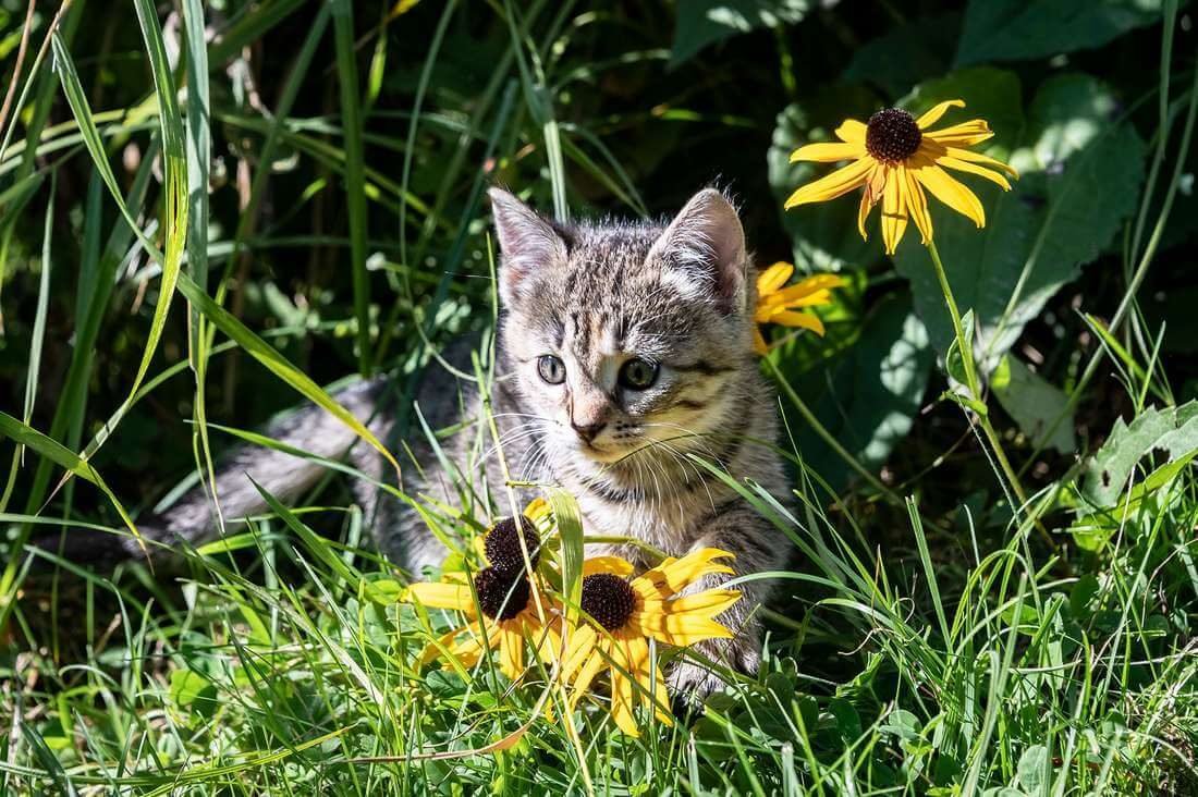 Impressionen vom Wieserhof in Südtirol
