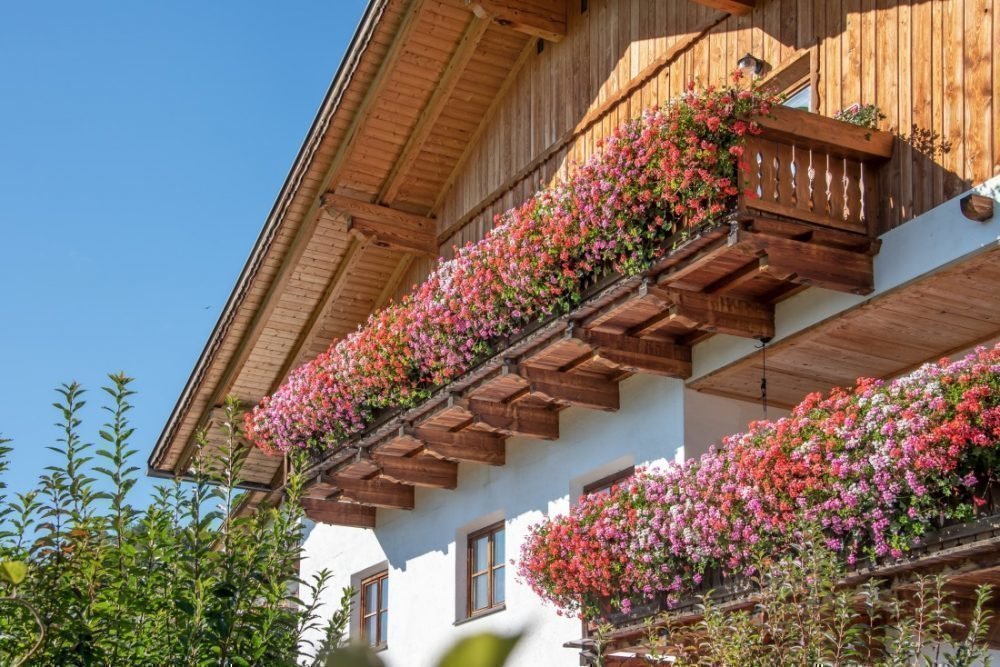 Impressionen vom Wieserhof in Südtirol