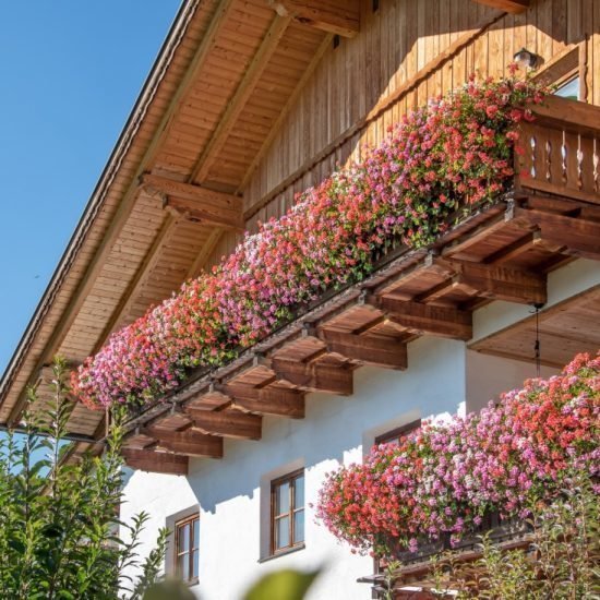 Impressionen vom Wieserhof in Südtirol