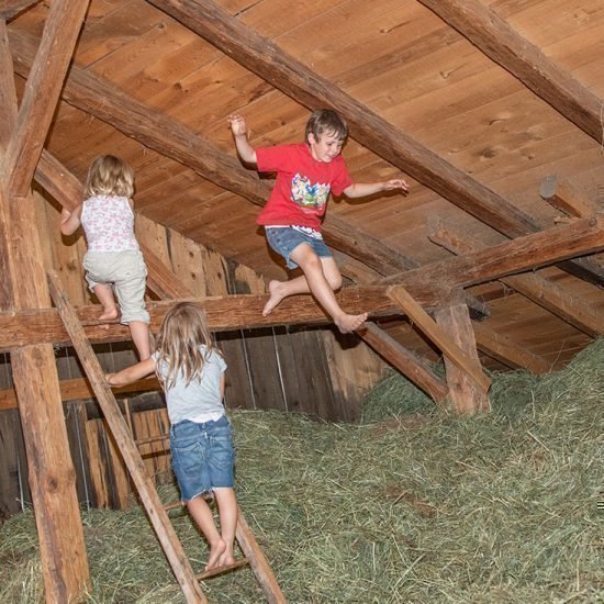 Children's holiday in South Tyrol on the farm in the Dolomites