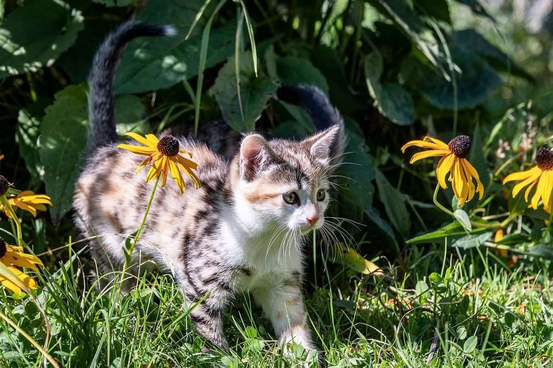 Impressionen vom Wieserhof in Südtirol