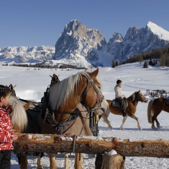 Impressioni di Wieserhof a Fiè allo Sciliar