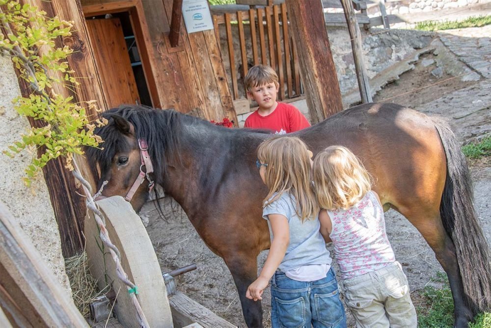 Kinderurlaub in Südtirol auf dem Bauernhof in den Dolomiten
