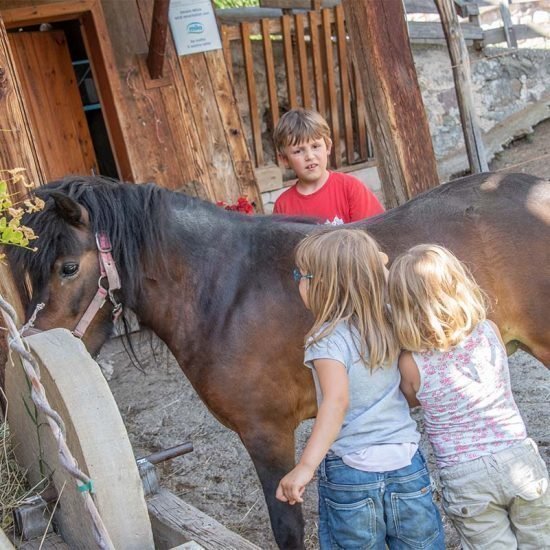 Kinderurlaub in Südtirol auf dem Bauernhof in den Dolomiten